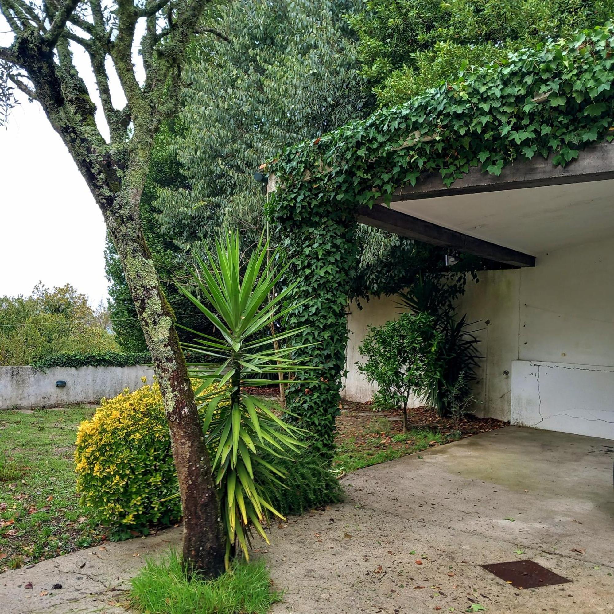 Casa Amarante Porto Villa Exterior photo